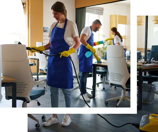 Home | Clean Bees