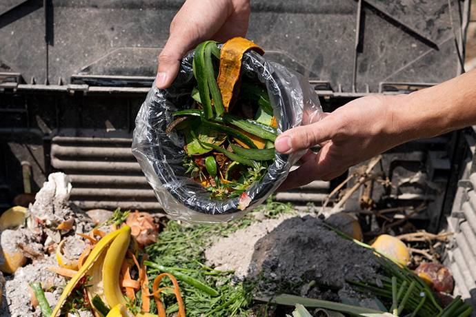 Green Waste Removal Auckland | Clean Bees