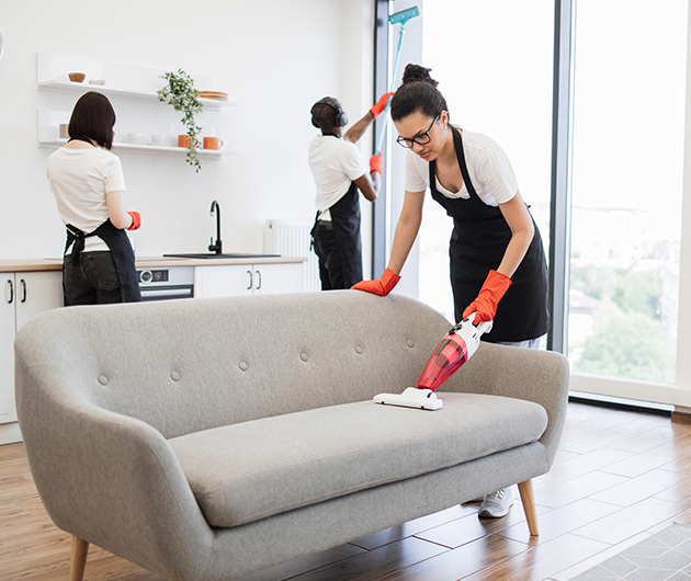 Home Cleaning Auckland | Clean Bees
