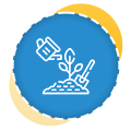 Garden Maintenance Auckland | Clean Bees
