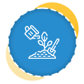 Mulching Services Auckland | Clean Bees