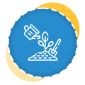 Lawn & Garden Care Services Auckland | Clean Bees
