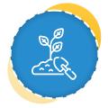 Planting Services Auckland | Clean Bees