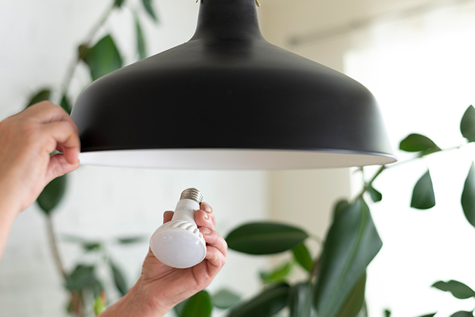 Property Management Auckland | Clean Bees