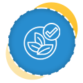 House Painter Auckland | Clean Bees