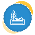 Planting Services Auckland | Clean Bees
