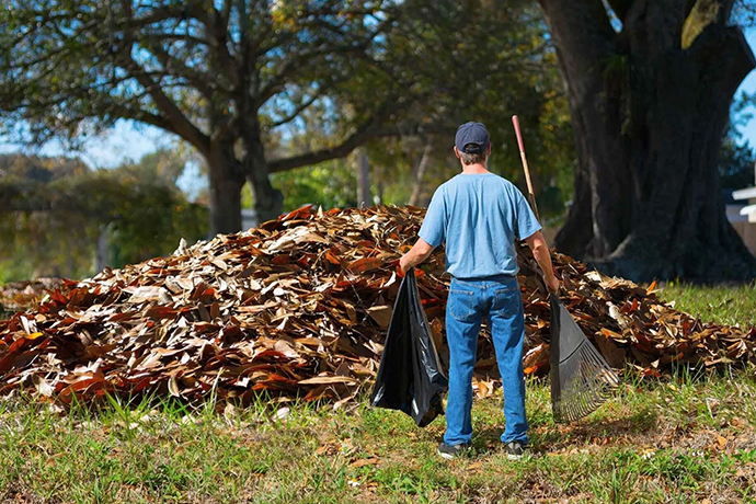 Professional Rubbish & Waste Removal Auckland - November 2025