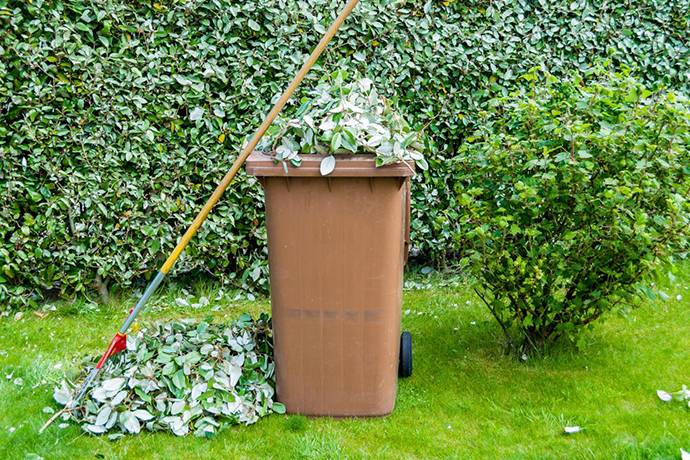 Green Waste Removal Auckland | Clean Bees