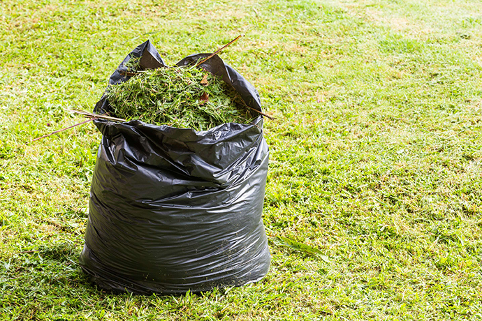Lawn & Garden Care Services Auckland | Clean Bees