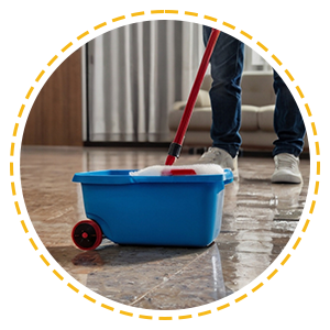 Home | Clean Bees