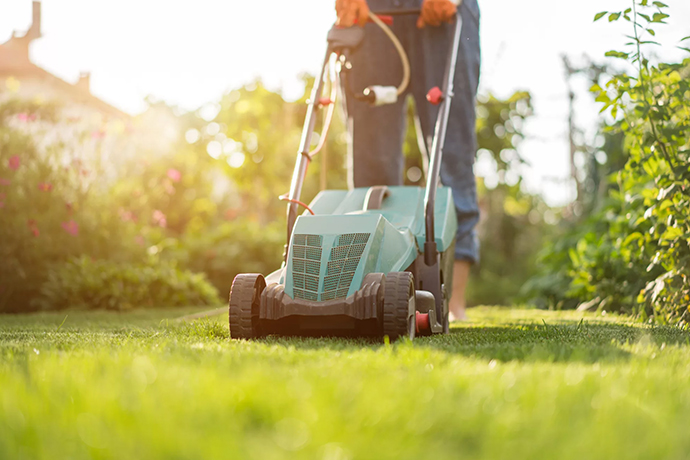 Lawn & Garden Care Services Auckland | Clean Bees