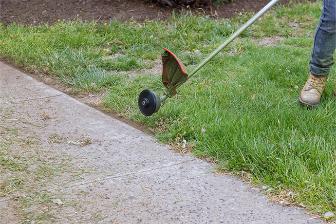 Lawn & Garden Care Services Auckland | Clean Bees