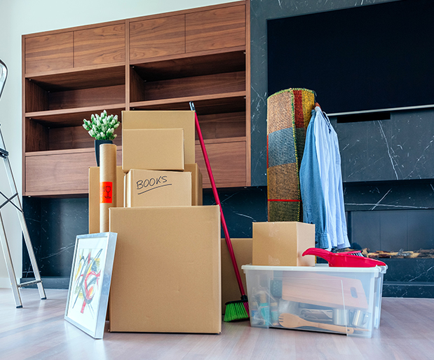Home Cleaning Auckland | Clean Bees