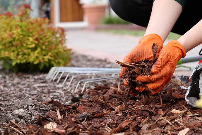 Mulching Services Auckland | Clean Bees
