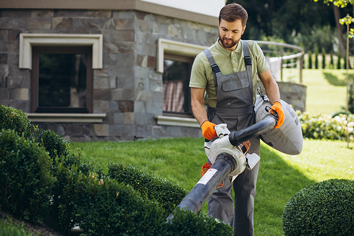 Garden Maintenance Auckland | Clean Bees