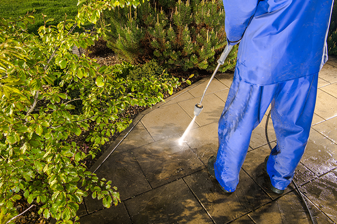 Local House Wash Auckland - November 2025