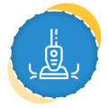 Carpet Cleaning Auckland | Clean Bees