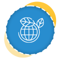 Planting Services Auckland | Clean Bees