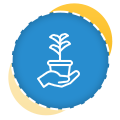 Garden Maintenance Auckland | Clean Bees