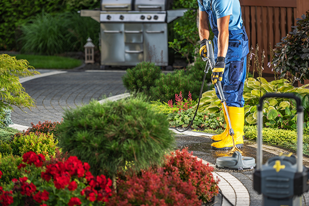 End of Tenancy Cleaning Auckland | Clean Bees