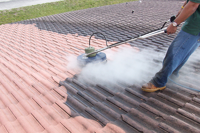 Local Roof Cleaning Auckland - November 2025