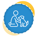 Pest Control Auckland | Clean Bees
