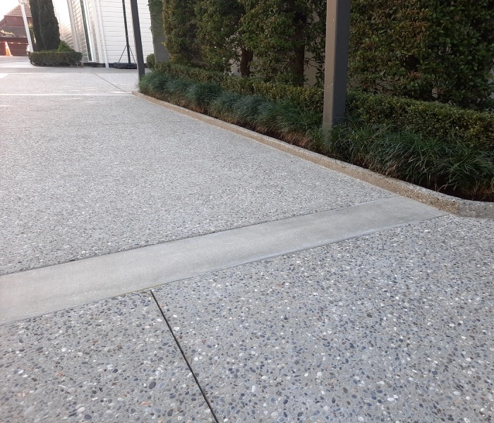 Expert Driveway & Concrete Surface Cleaning Auckland - November 2025