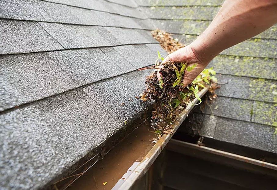 Affordable Gutter Cleaning Auckland - November 2025
