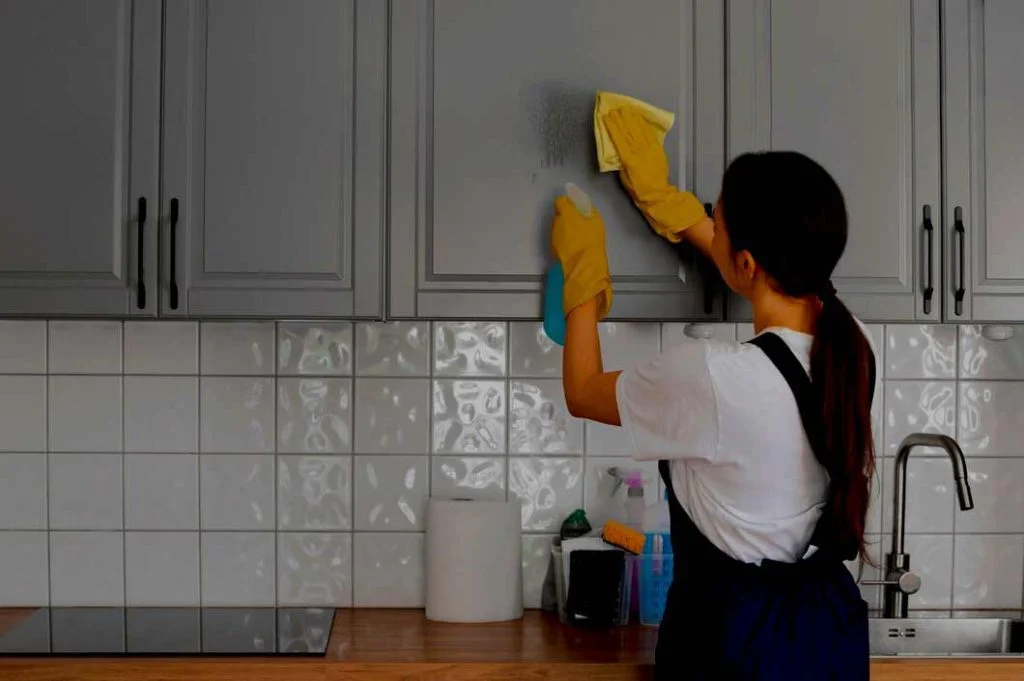 Professional Home Cleaning Auckland - November 2025