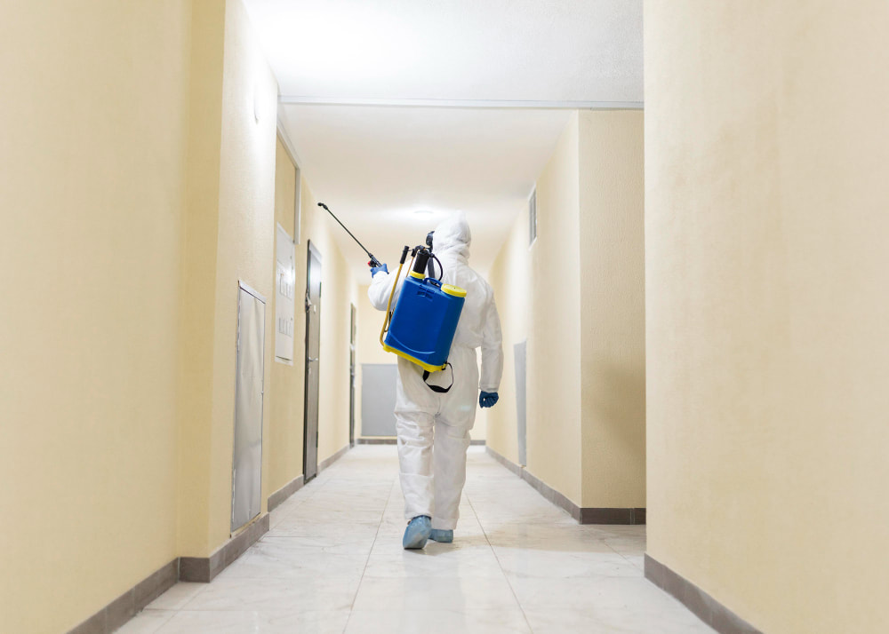 Hospital Cleaning & Infection Control Auckland | Clean Bees Quality Hospital Cleaning & Infection Control Auckland - October 2025