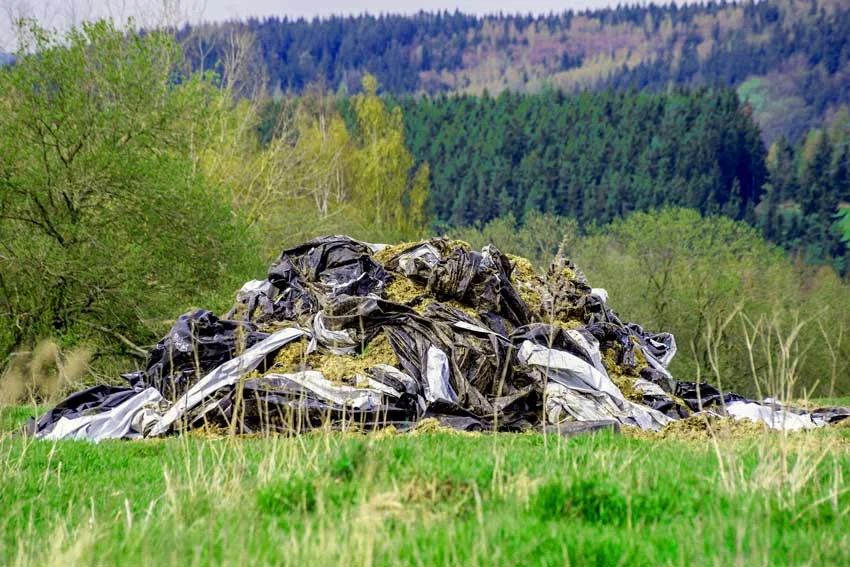 Local Green Waste Removal Auckland - November 2025