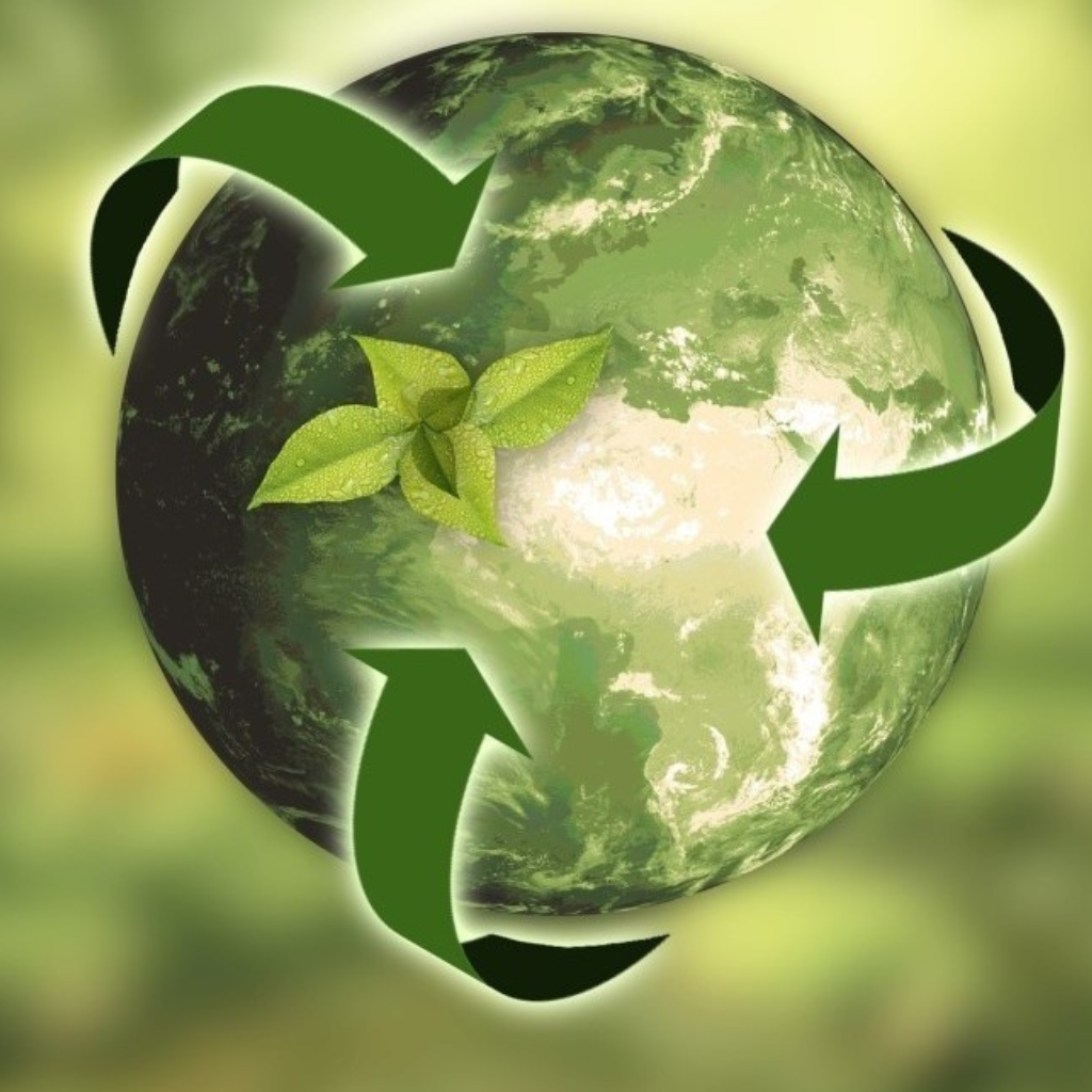 Top Health & Wellbeing Support Auckland - October 2025