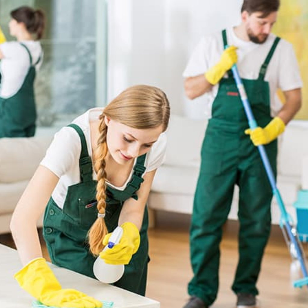 Professional Health & Wellbeing Support Auckland - October 2025