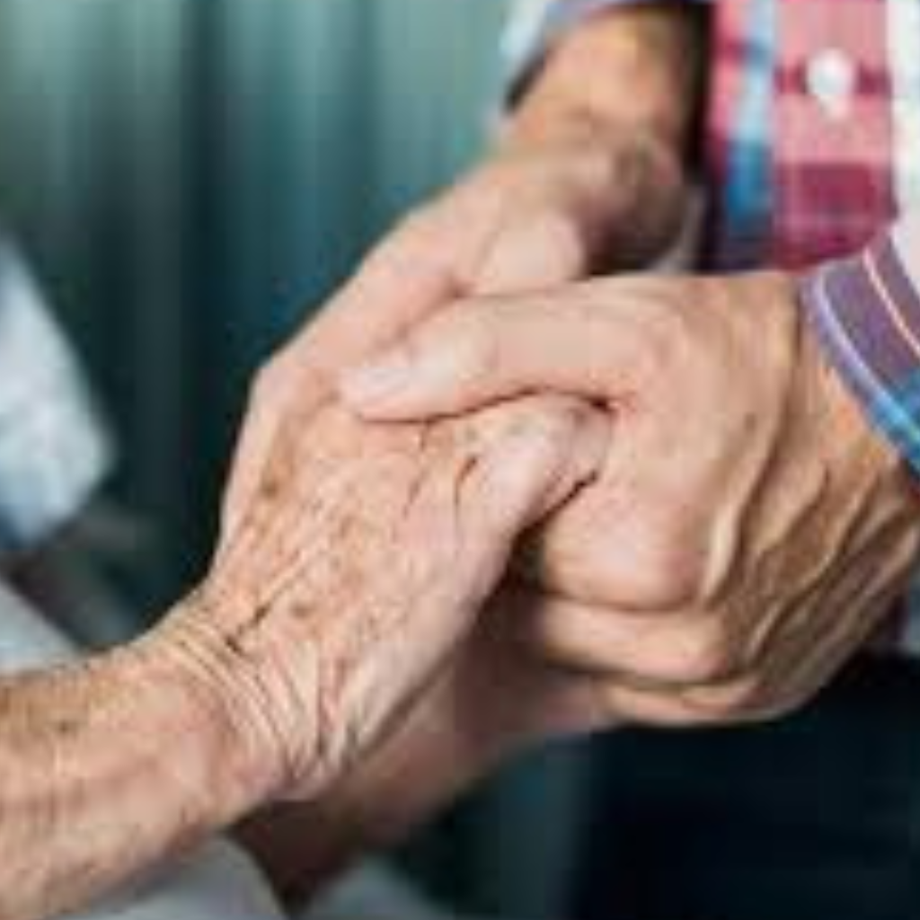 Quality Health & Wellbeing Support Auckland - October 2025