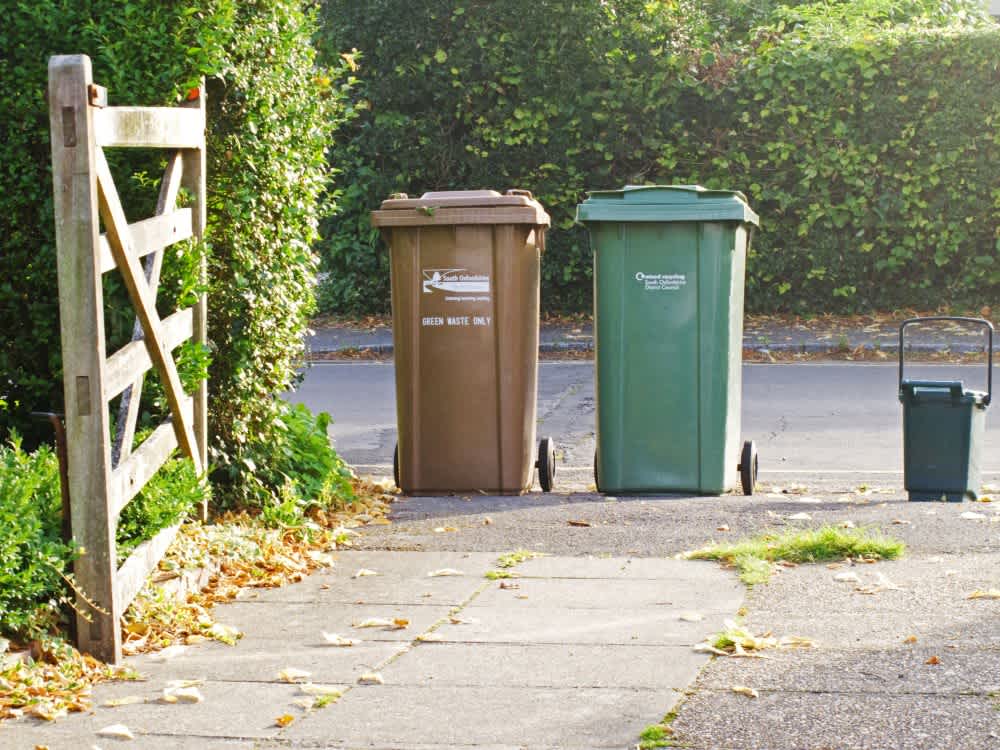 Quality Green Waste Removal Auckland - November 2025