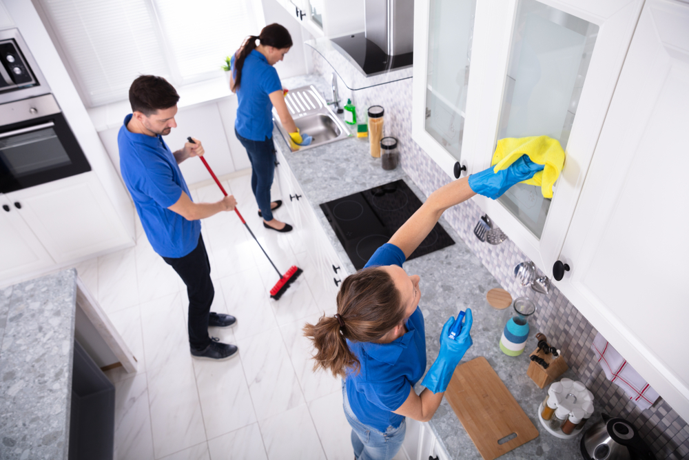 Top Cleaning Company Auckland - November 2025