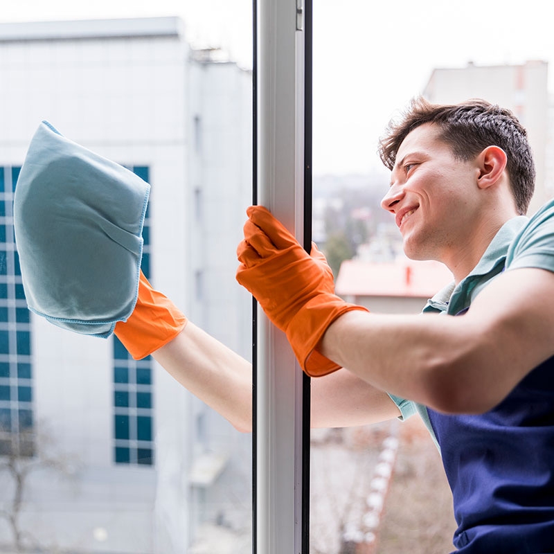 Professional Window Cleaning Auckland - November 2025