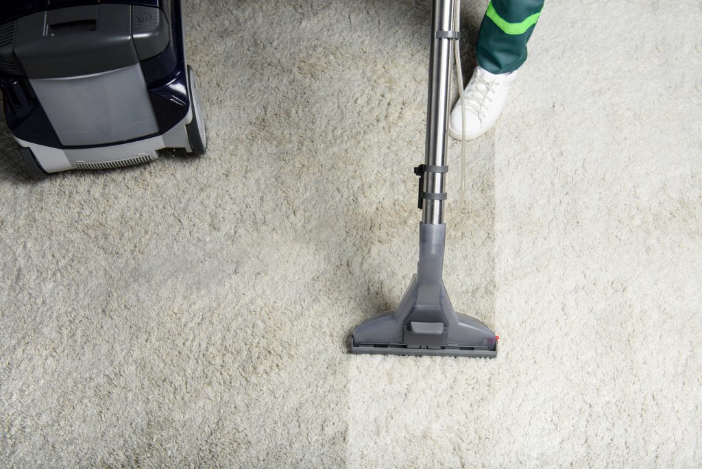 Local Carpet Cleaning Hamilton - February 2026
