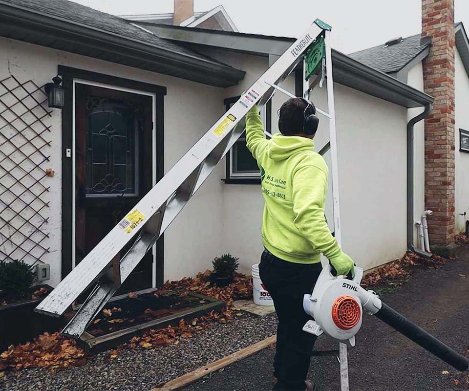 Affordable Gutter Cleaning Hamilton - February 2026