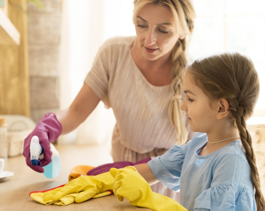 Top Commercial & Home Cleaning Services New Zealand - February 2026