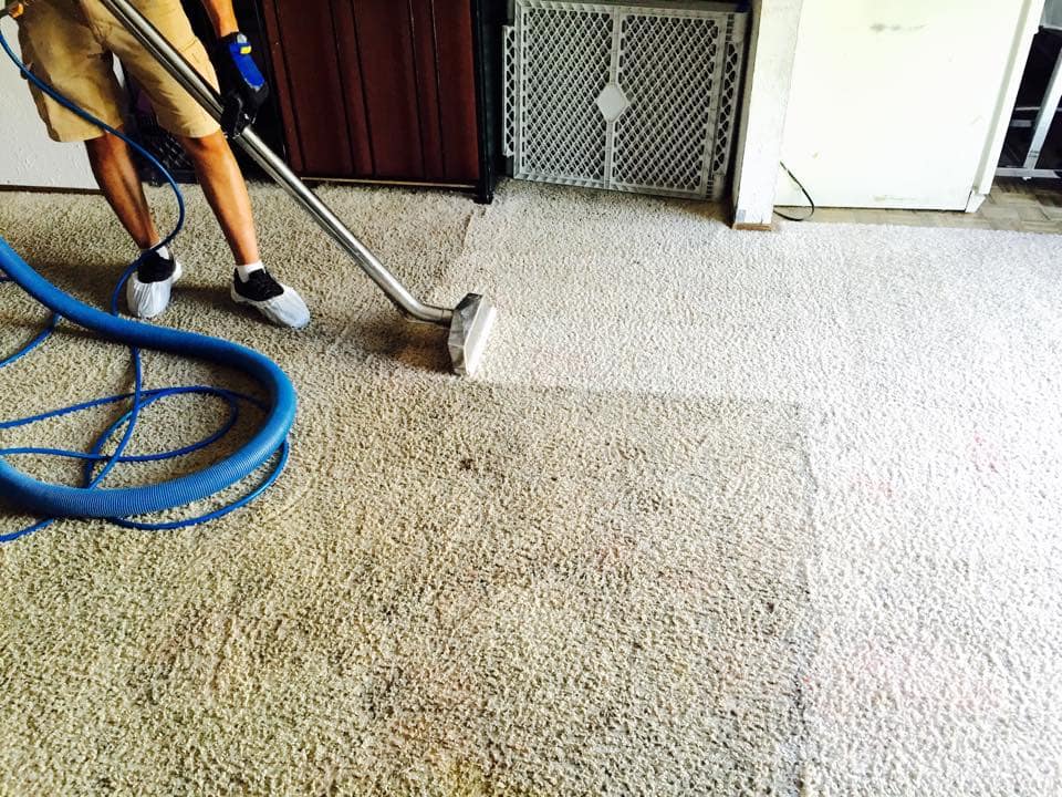 Cheap Commercial Carpet Cleaning Auckland​ - February 2026