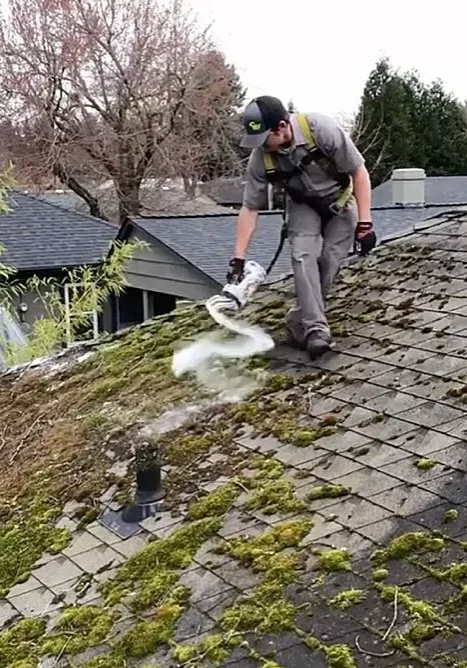 Professional Roof Cleaning Hamilton NZ - February 2026