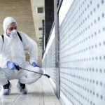 Affordable Why Auckland Homeowners Are Switching to Eco-Friendly House Cleaning. - March 2026