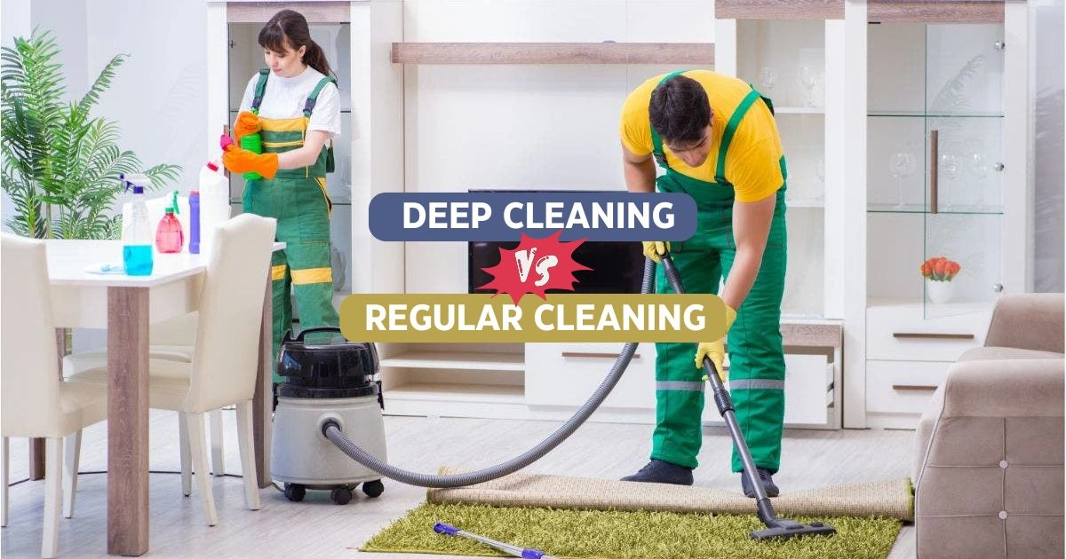 Cheap Deep Cleaning vs Regular Cleaning: What’s the Difference and Which Do You Actually Need? - March 2026