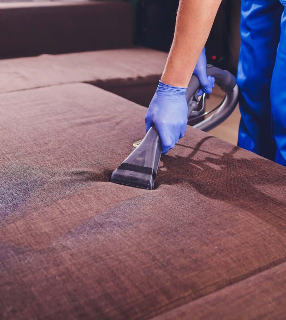 Expert Couch Cleaning Auckland - April 2026