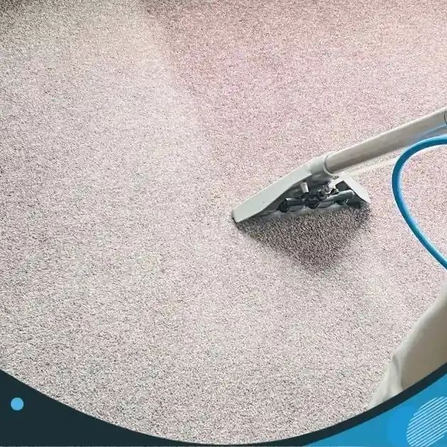 Top Carpet Cleaning Auckland - April 2026