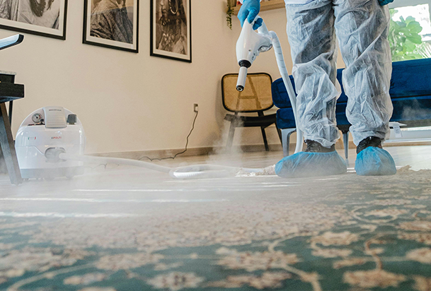 Expert Carpet Cleaning Auckland - April 2026