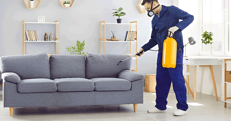 Affordable Home Cleaning Auckland – Copy - June 2026